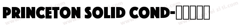 Princeton solid Cond字体转换